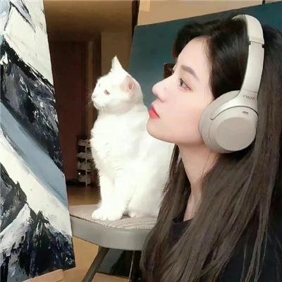内战圣伯纳犬